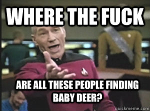 WHERE THE FUCK Are all these people finding baby deer?  Annoyed Picard