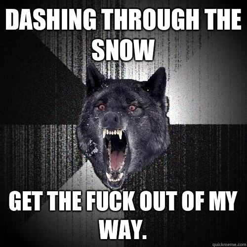 DASHING THROUGH THE SNOW GET THE FUCK OUT OF MY WAY.  Insanity Wolf