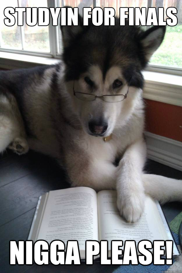 Studyin For FINALS
   NIGGA PLEASE!  Condescending Literary Pun Dog