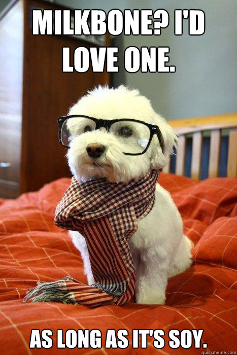 Milkbone? I'd love one. As long as it's soy.  Hipster Dog