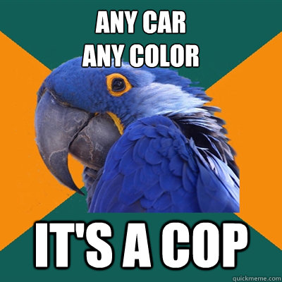 Any Car
ANy Color It's a Cop  Paranoid Parrot