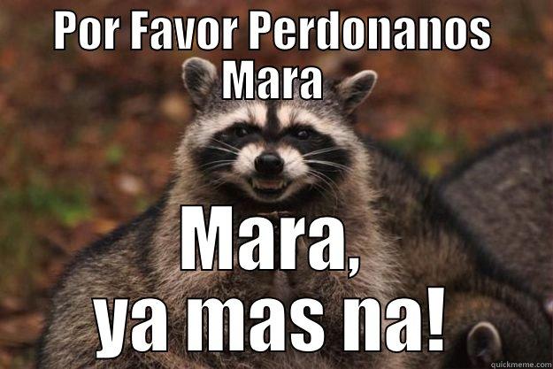 POR FAVOR PERDONANOS MARA MARA, YA MAS NA! Evil Plotting Raccoon