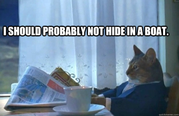 I should probably not hide in a boat.   Sophisticated Cat
