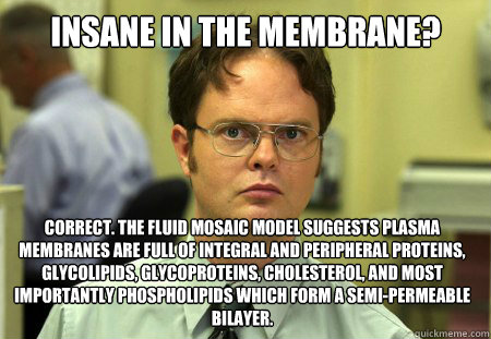 Insane in the membrane? Correct. the fluid mosaic model suggests plasma membranes are full of integral and peripheral proteins, glycolipids, glycoproteins, cholesterol, and most importantly phospholipids which form a semi-permeable bilayer.  Dwight