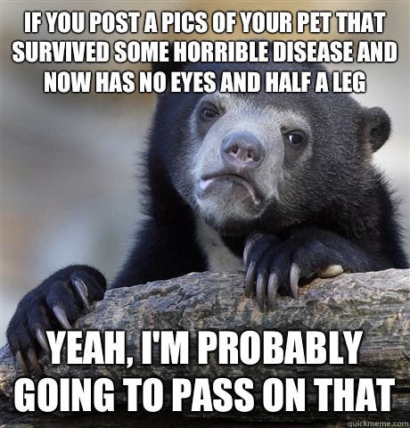 If you post a pics of your pet that survived some horrible disease and now has no eyes and half a leg Yeah, I'm probably going to pass on that - If you post a pics of your pet that survived some horrible disease and now has no eyes and half a leg Yeah, I'm probably going to pass on that  Confession Bear