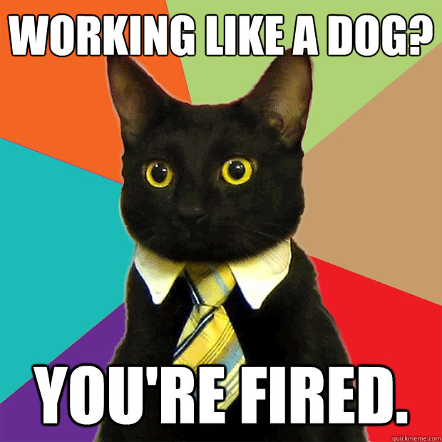 Working like a dog? You're fired. - Working like a dog? You're fired.  Business Cat