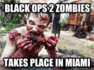 black ops 2 zombies  takes place in miami  