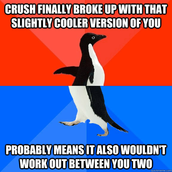 Crush finally broke up with that slightly cooler version of you probably means it also wouldn't work out between you two  Socially Awesome Awkward Penguin
