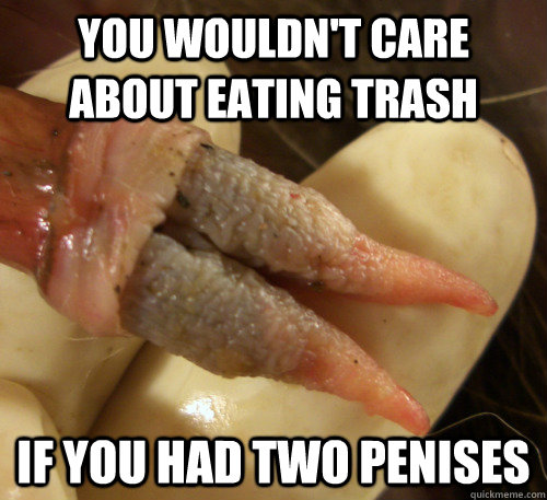 You wouldn't care about eating trash if you had two penises  Forked Possum Penis