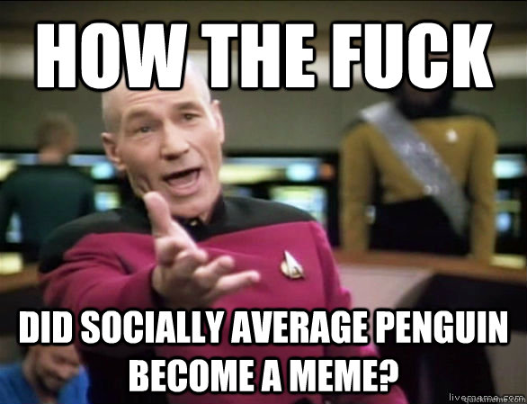 how the fuck did socially average penguin become a meme?  Annoyed Picard HD