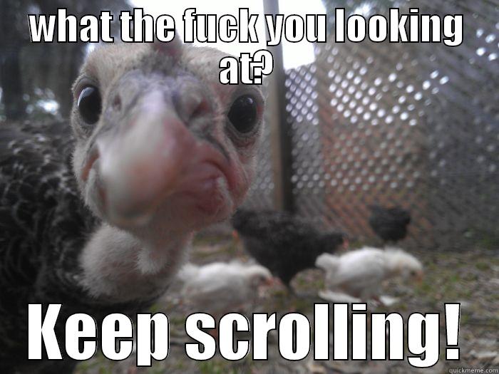 WHAT THE FUCK YOU LOOKING AT? KEEP SCROLLING! Misc
