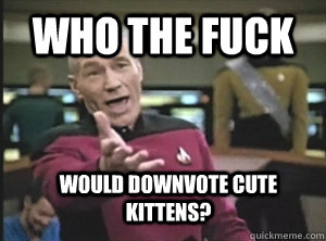 who the fuck would downvote cute kittens?  Annoyed Picard
