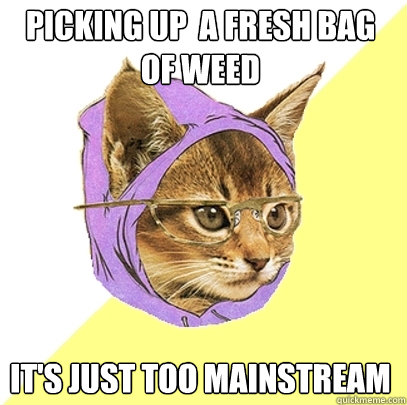 Picking up  a fresh bag of weed it's just too mainstream  Hipster Kitty