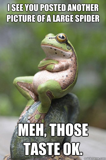 I see you posted another picture of a large spider Meh, those taste ok.  Unimpressed Frog