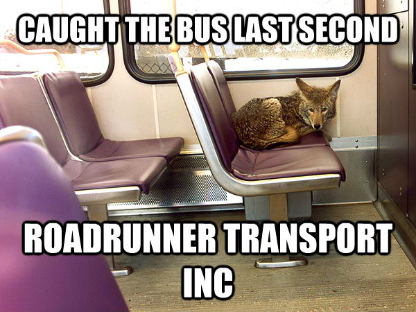 CAUGHT THE BUS LAST SECOND ROADRUNNER TRANSPORT INC - CAUGHT THE BUS LAST SECOND ROADRUNNER TRANSPORT INC  untitled meme
