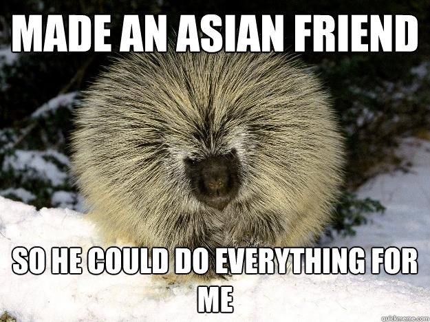 Made an asian friend so he could do everything for me - Made an asian friend so he could do everything for me  Overly Racist Porcupine