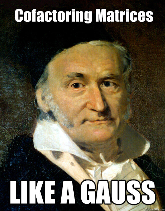 Cofactoring Matrices LIKE A GAUSS  Like a Gauss
