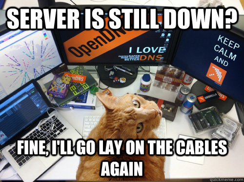 Server is still down? fine, i'll go lay on the cables again  