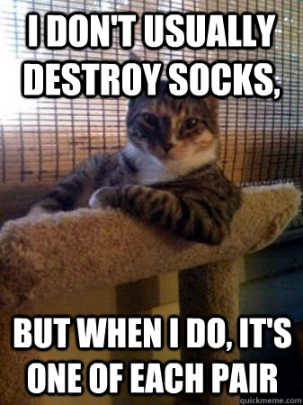 I don't usually destroy socks, but when I do, it's one of each pair  The Most Interesting Cat in the World