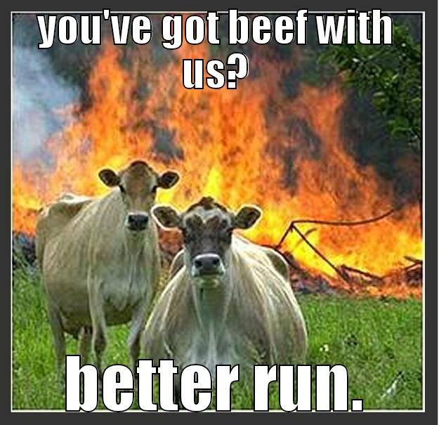 bad cows bad cows watcha gonna moo - YOU'VE GOT BEEF WITH US? BETTER RUN. Evil cows