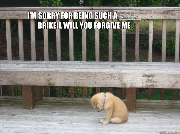 I'm sorry for being such a _____ BRIKEIL WILL YOU FORGIVE ME
  - I'm sorry for being such a _____ BRIKEIL WILL YOU FORGIVE ME
   Sorry