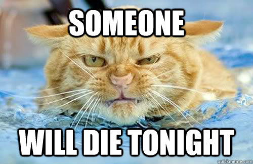 SOMEONE Will die TONIGHT  Angry cat is angry