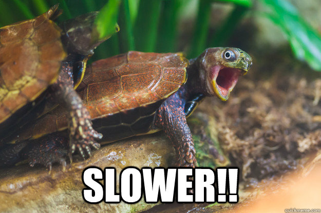  Slower!!  