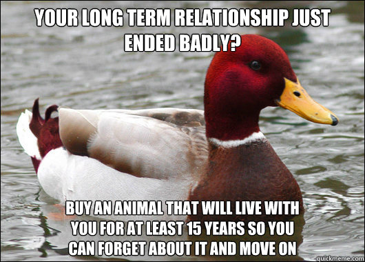 your long term relationship just ended badly?
 buy an animal that will live with 
you for at least 15 years so you 
can forget about it and move on - your long term relationship just ended badly?
 buy an animal that will live with 
you for at least 15 years so you 
can forget about it and move on  Malicious Advice Mallard