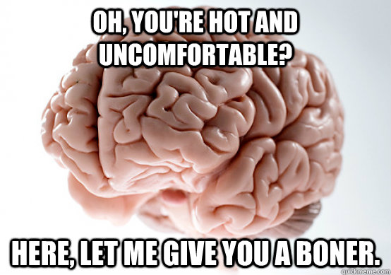 Oh, you're hot and uncomfortable? Here, let me give you a boner.  Scumbag Brain make you late to work