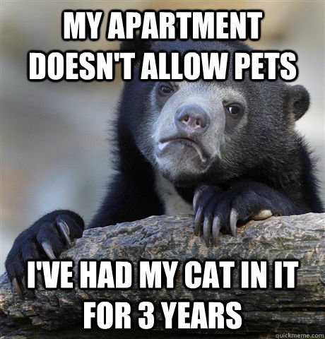 My apartment doesn't allow pets I've had my cat in it for 3 years  Confession Bear