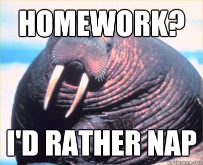 homework? I'd rather nap  