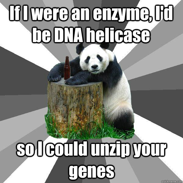 If I were an enzyme, I'd be DNA helicase so I could unzip your genes - If I were an enzyme, I'd be DNA helicase so I could unzip your genes  Pickup-Line Panda