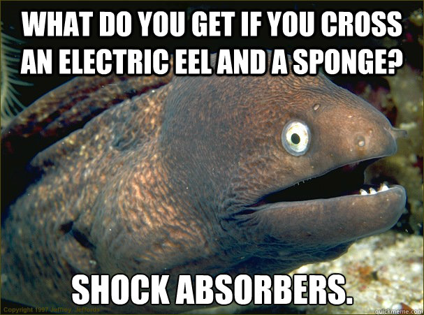 What do you get if you cross an electric eel and a sponge? Shock absorbers.  Caption 3 goes here - What do you get if you cross an electric eel and a sponge? Shock absorbers.  Caption 3 goes here  Bad Joke Eel