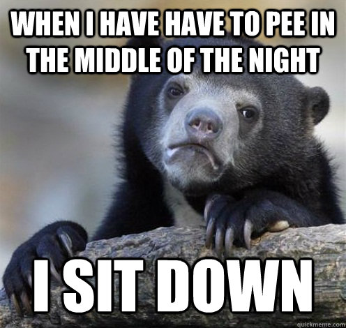 When i have have to pee in the middle of the night I sit down   Confession Bear Eating