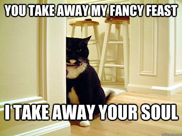 You take away my fancy feast I take away your soul  Serial Killer Cat