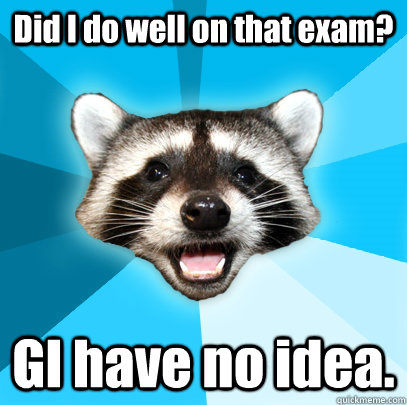 Did I do well on that exam? GI have no idea.  Lame Pun Coon