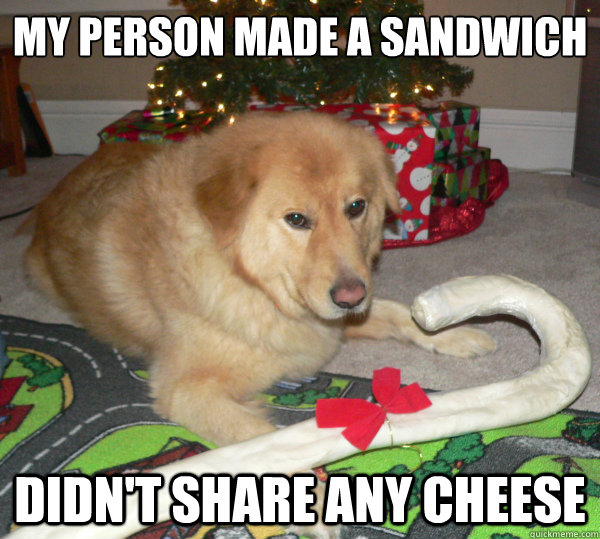 My person made a sandwich didn't share any cheese  First World Dog problems
