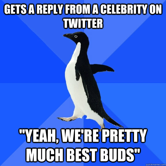 Gets a reply from a celebrity on twitter 