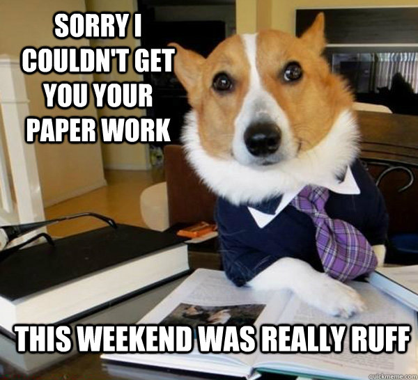 sorry i couldn't get you your paper work this weekend was really ruff  Lawyer Dog