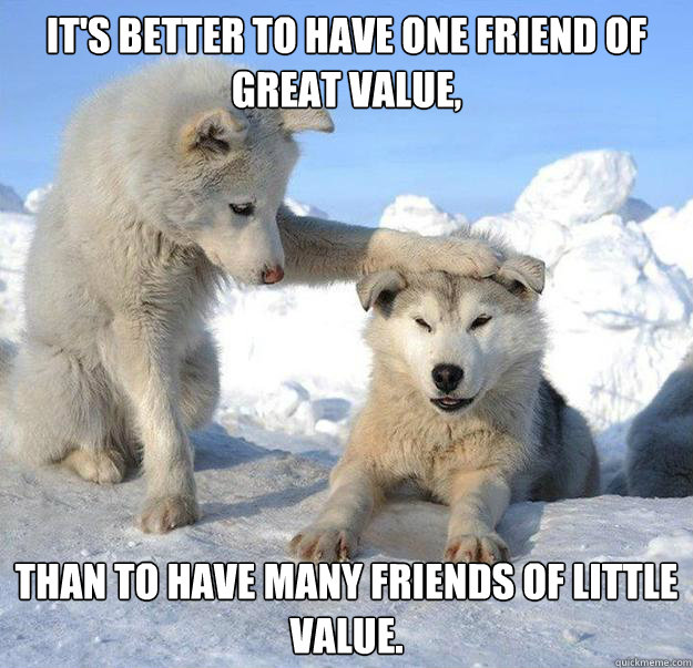 It's better to have one friend of great value, than to have many friends of little value.  Caring Husky
