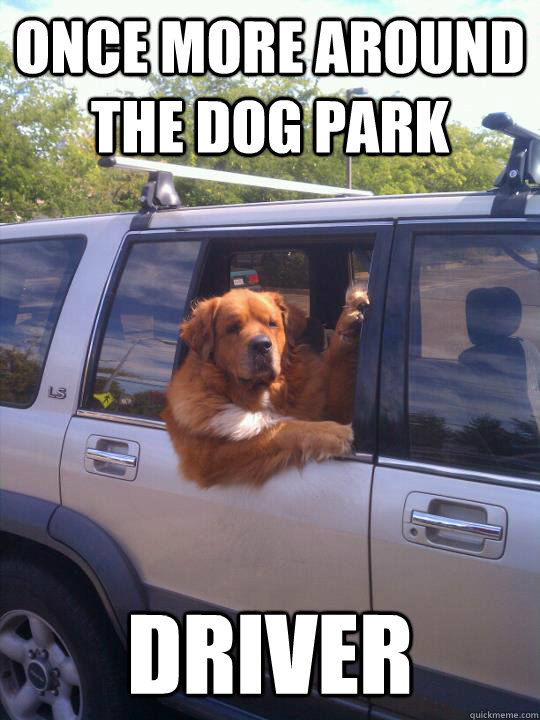 once more around the dog park driver - once more around the dog park driver  Misc