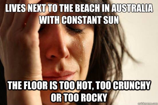 Lives next to the beach in Australia with constant sun The floor is too hot, too crunchy or too rocky  - Lives next to the beach in Australia with constant sun The floor is too hot, too crunchy or too rocky   First World Problems