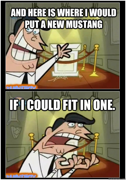 and here is where I would put a new mustang  If I could fit in one.  - and here is where I would put a new mustang  If I could fit in one.   If I had one! FULL