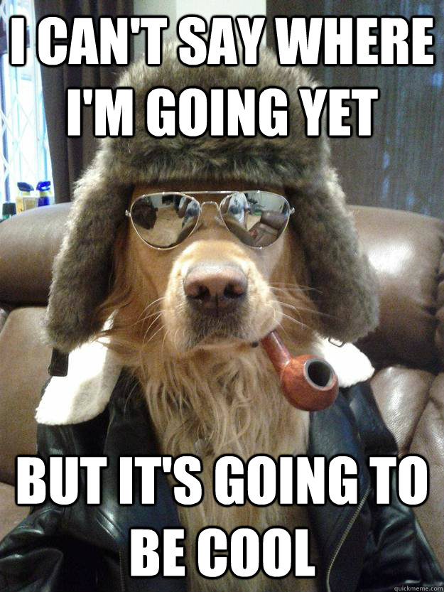 I can't say where I'm going yet But it's going to be cool - I can't say where I'm going yet But it's going to be cool  Overly Suave Dog