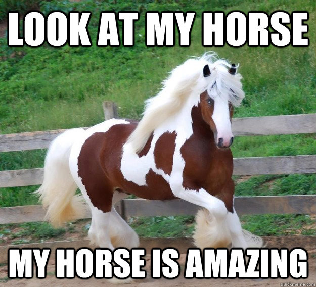 Look AT MY HORSE MY HORSE IS AMAZING - Look AT MY HORSE MY HORSE IS AMAZING  Misc