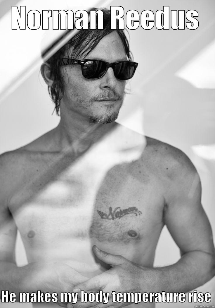 NORMAN REEDUS  HE MAKES MY BODY TEMPERATURE RISE Misc
