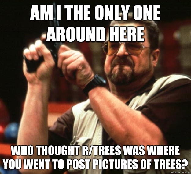 am I the only one around here who thought r/trees was where you went to post pictures of trees?  Angry Walter