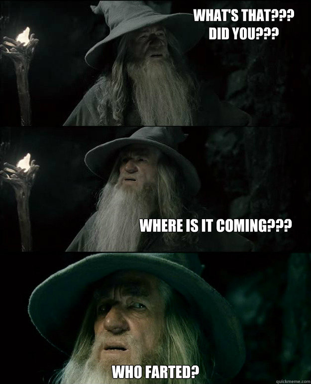 WHAT'S THAT???
DID YOU??? WHO FARTED? WHERE IS IT COMING???  Gandalf und das Spanischstudium
