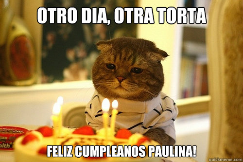 Otro dia, Otra torta feliz cumpleanos paulina!  