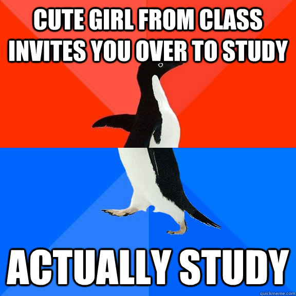 Cute girl from class invites you over to study Actually study  Socially Awesome Awkward Penguin
